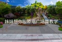 妹妹想你啦原唱广场舞教学