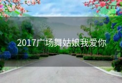 2017广场舞姑娘我爱你
