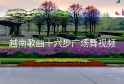 越南歌曲十六步广场舞视频