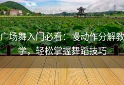 广场舞入门必看：慢动作分解教学，轻松掌握舞蹈技巧