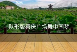 队形版喜庆广场舞中国梦