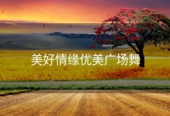 美好情缘优美广场舞