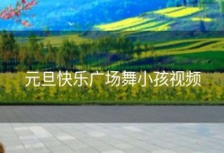 元旦快乐广场舞小孩视频