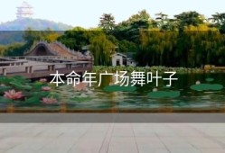 本命年广场舞叶子