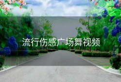 流行伤感广场舞视频