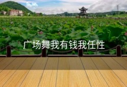 广场舞我有钱我任性