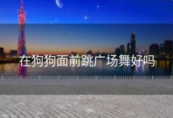 在狗狗面前跳广场舞好吗