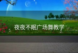 夜夜不眠广场舞教学