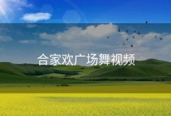 合家欢广场舞视频
