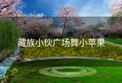 藏族小伙广场舞小苹果