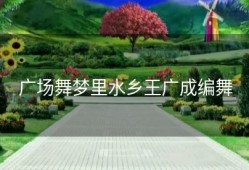 广场舞梦里水乡王广成编舞