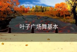 叶子广场舞基本