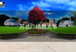 苏北广场舞大爷