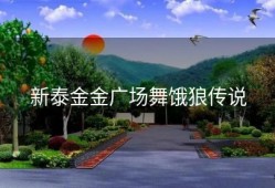 新泰金金广场舞饿狼传说