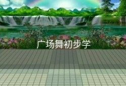 广场舞初步学