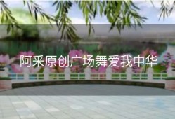 阿釆原创广场舞爱我中华