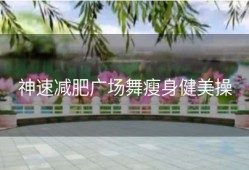 神速减肥广场舞瘦身健美操