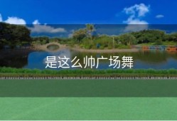 是这么帅广场舞