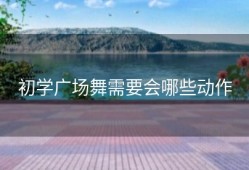初学广场舞需要会哪些动作