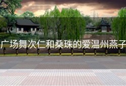 广场舞次仁和桑珠的爱温州燕子