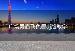 广场舞眉飞色舞dj版教学