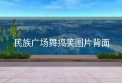 民族广场舞搞笑图片背面