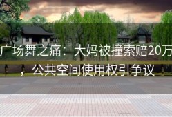 广场舞之痛：大妈被撞索赔20万，公共空间使用权引争议