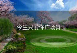 今生只爱你广场舞