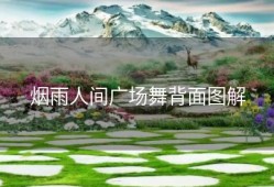 烟雨人间广场舞背面图解