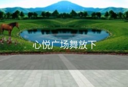 心悦广场舞放下