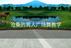 沧桑的男人广场舞教学