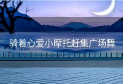 骑着心爱小摩托赶集广场舞