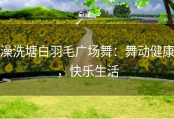 澡洗塘白羽毛广场舞：舞动健康，快乐生活