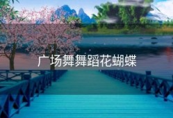 广场舞舞蹈花蝴蝶