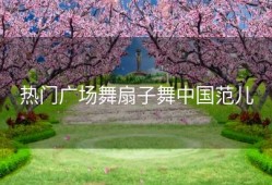 热门广场舞扇子舞中国范儿