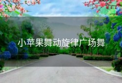 小苹果舞动旋律广场舞