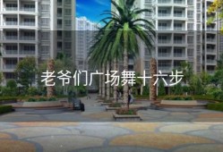 老爷们广场舞十六步