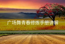 广场舞青春修炼手册讲解