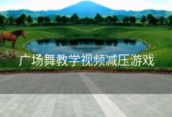广场舞教学视频减压游戏