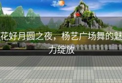 花好月圆之夜，杨艺广场舞的魅力绽放