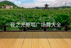 夜之光原唱广场舞大全