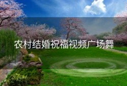 农村结婚祝福视频广场舞