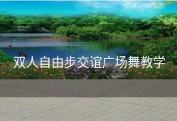 双人自由步交谊广场舞教学