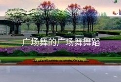 广场舞的广场舞舞蹈