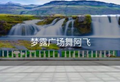 梦露广场舞阿飞