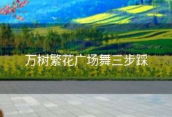 万树繁花广场舞三步踩