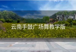 云南手鼓广场舞教学版
