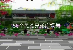 56个民族兄弟广场舞