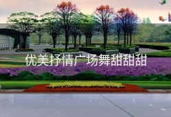 优美抒情广场舞甜甜甜