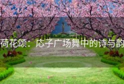 荷花颂：応子广场舞中的诗与韵